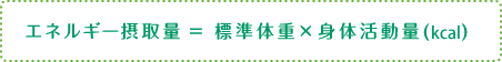 エネルギー摂取量＝標準体重ｘ身体活動量（kcal）